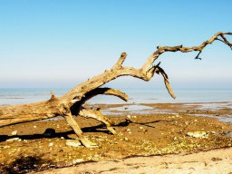 Am Strand