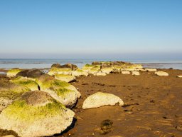 Am Strand